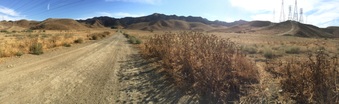Enlarge photo 7
