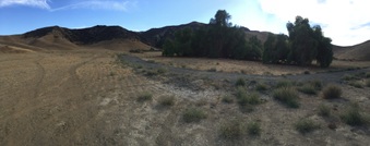 Enlarge photo 12