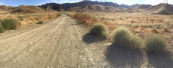 Mexican Desert