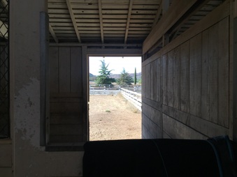 Enlarge photo 30