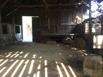 Enlarge photo 6