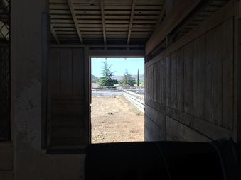 Enlarge photo 29