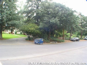 Enlarge photo 103