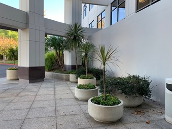 Enlarge photo 42