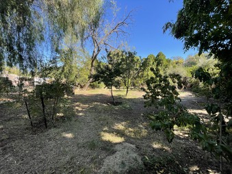 Enlarge photo 22