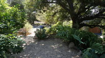 Enlarge photo 22