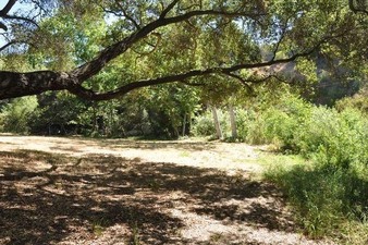 Enlarge photo 36