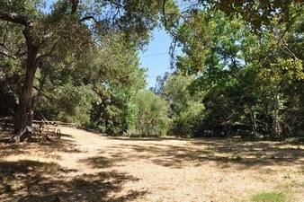 Enlarge photo 37