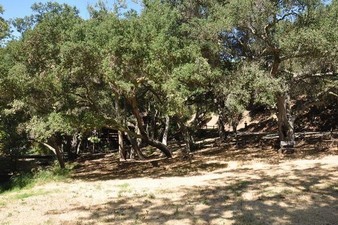 Enlarge photo 39