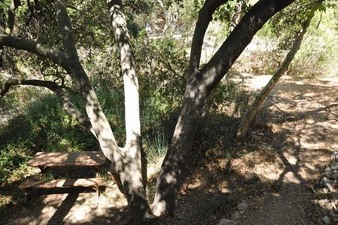 Enlarge photo 46