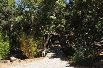 Enlarge photo 58