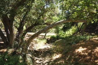 Enlarge photo 61