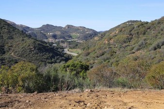 Enlarge photo 110