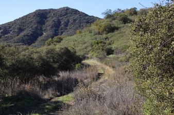 Enlarge photo 112