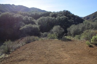 Enlarge photo 114