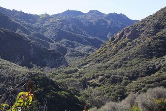 Enlarge photo 120
