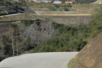 Enlarge photo 121