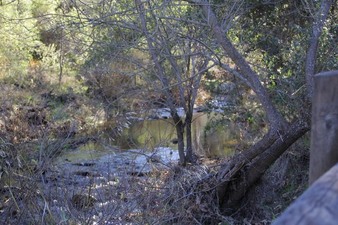 Enlarge photo 124