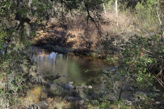 Enlarge photo 126