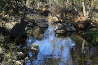 Enlarge photo 127