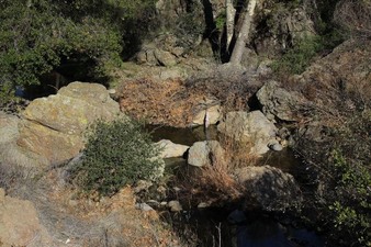Enlarge photo 130