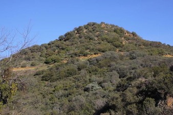 Enlarge photo 132
