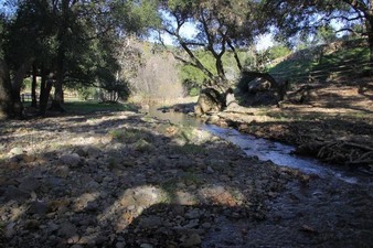 Enlarge photo 133