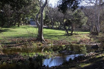 Enlarge photo 134