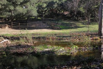 Enlarge photo 135