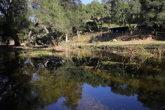 Enlarge photo 137