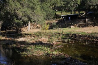 Enlarge photo 138