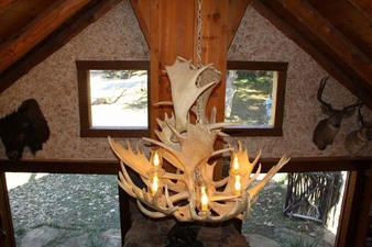 Enlarge photo 145