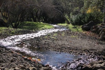 Enlarge photo 43