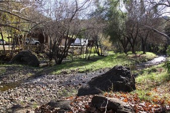 Enlarge photo 45