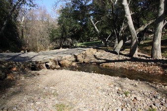 Enlarge photo 46