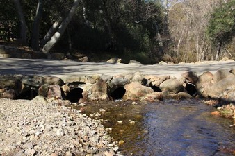 Enlarge photo 47