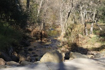 Enlarge photo 48
