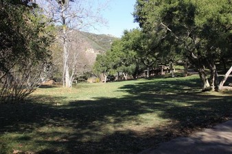 Enlarge photo 49