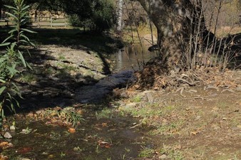 Enlarge photo 55