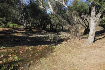 Enlarge photo 59