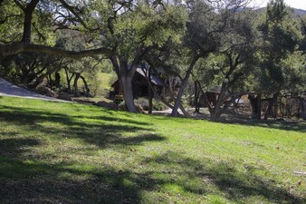 Enlarge photo 60