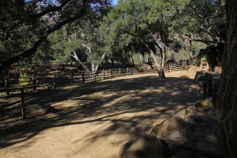 Enlarge photo 67