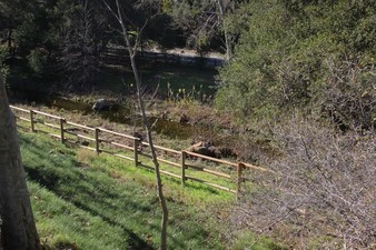 Enlarge photo 74