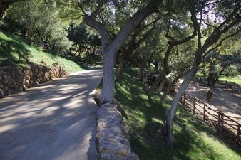 Enlarge photo 75