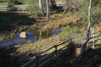 Enlarge photo 77