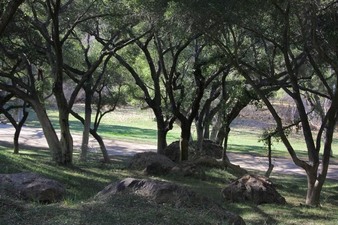 Enlarge photo 80