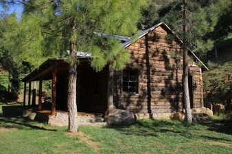 Enlarge photo 85