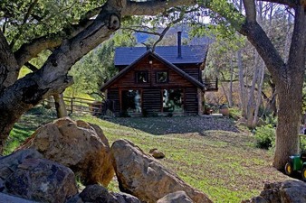 Enlarge photo 95