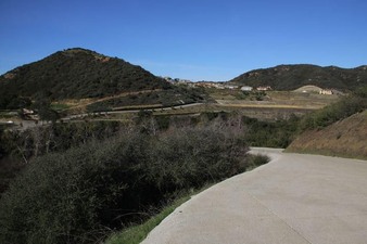 Enlarge photo 96