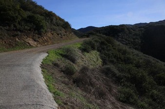 Enlarge photo 98